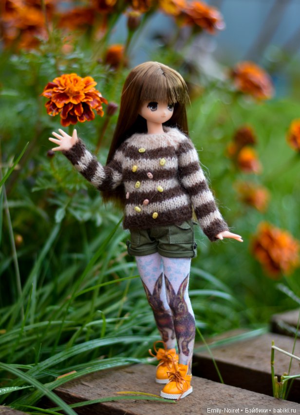 Koron Bear Komorebimori no Dobutsutachi