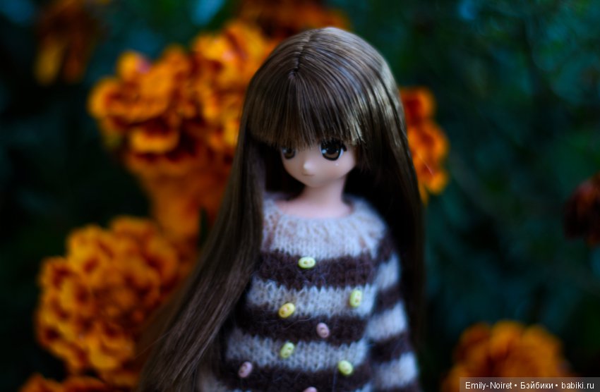 Koron Bear Komorebimori no Dobutsutachi