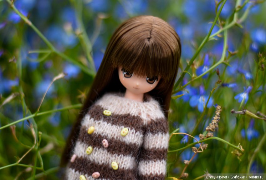 Koron Bear Komorebimori no Dobutsutachi