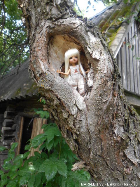 Фенечка и ее любимая подружка! Часть 1 - знакомство (фото 10)