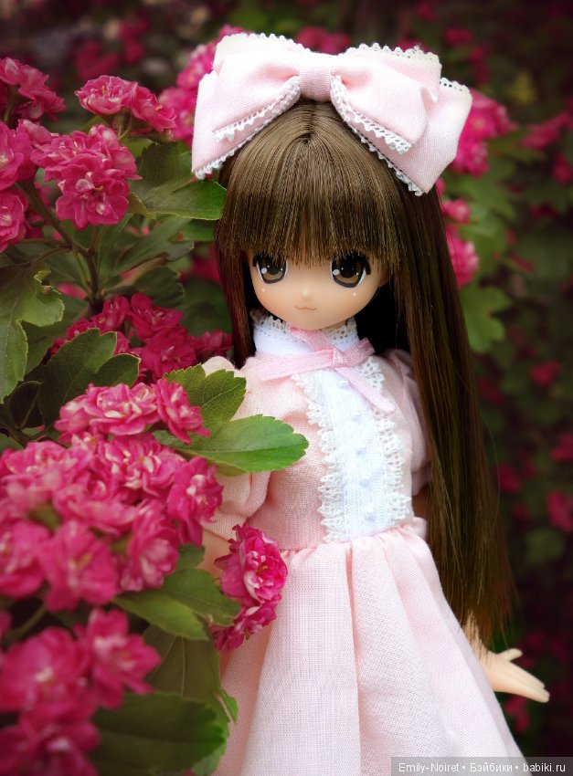 Koron Bear Komorebimori no Dobutsutachi