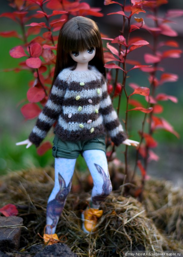 Koron Bear Komorebimori no Dobutsutachi