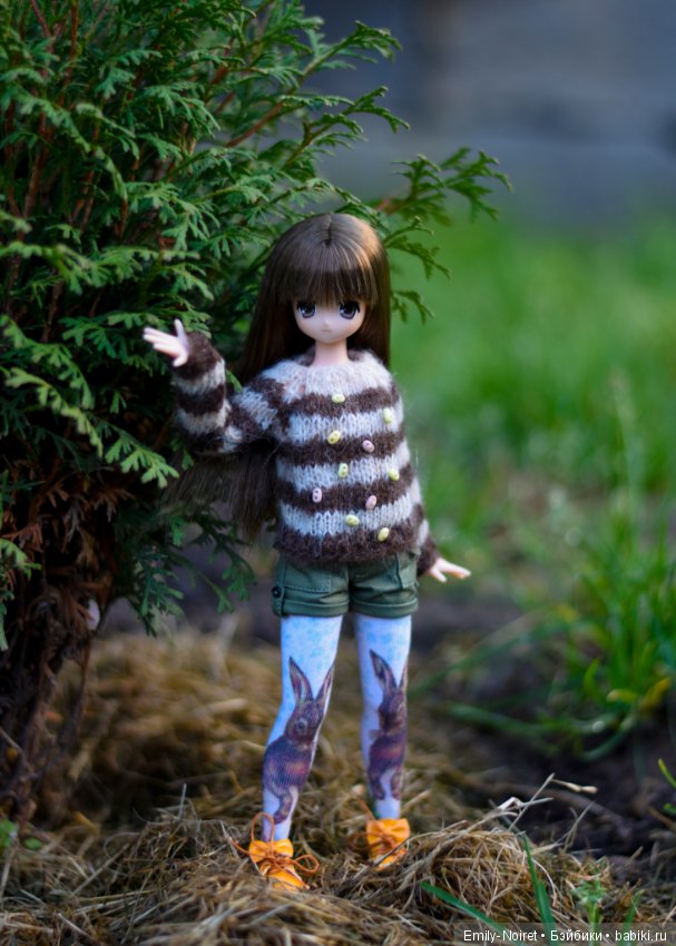 Koron Bear Komorebimori no Dobutsutachi