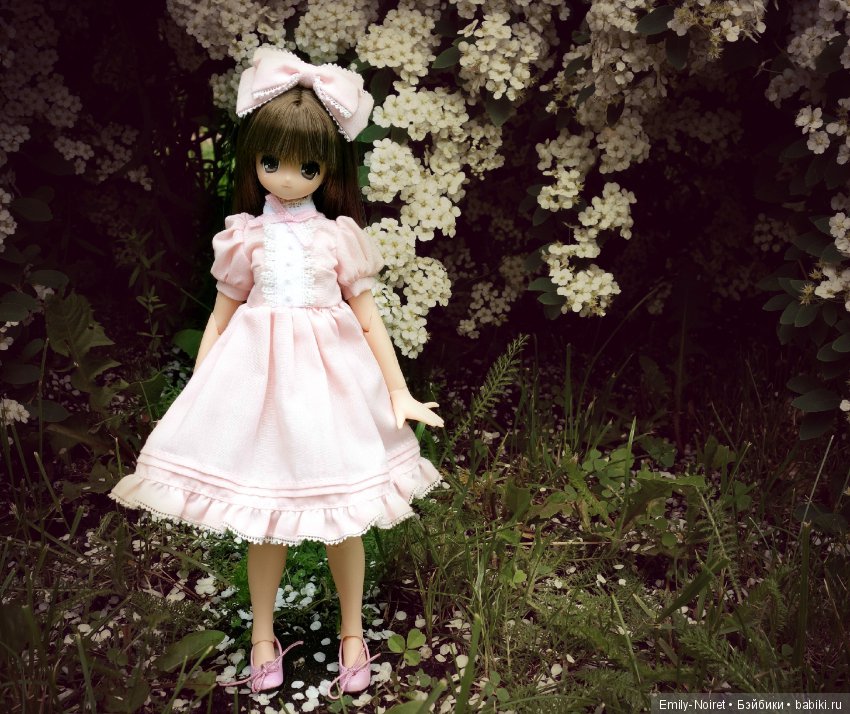 Koron Bear Komorebimori no Dobutsutachi