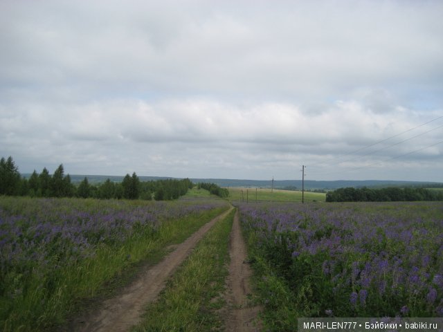 Фенечка и ее любимая подружка! Часть 1 - знакомство