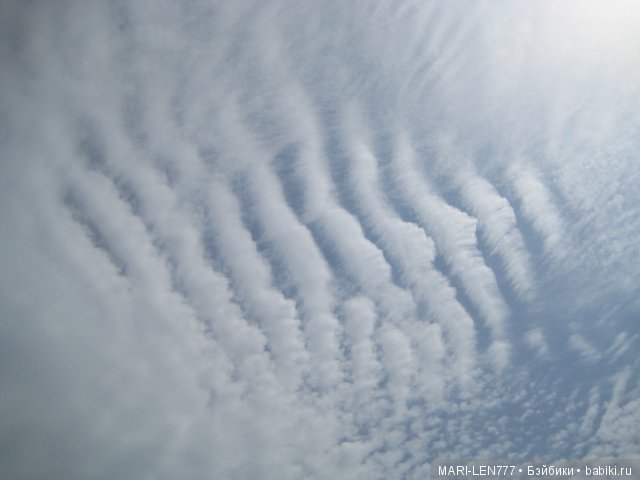 Фенечка и ее любимая подружка! Часть 1 - знакомство