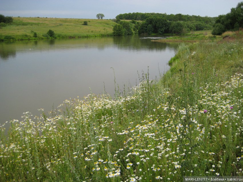 Фенечка и ее любимая подружка! Часть 1 - знакомство