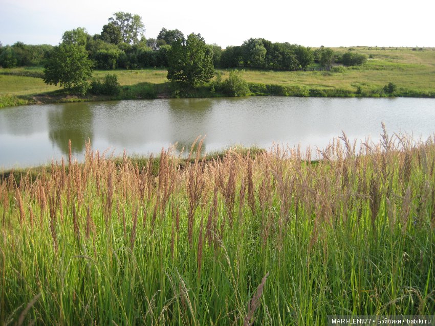 Фенечка и ее любимая подружка! Часть 2 - продолжение истории (фото 4)