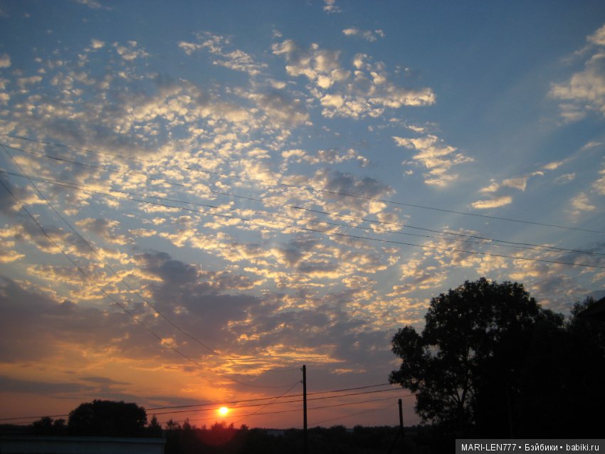 Фенечка и ее любимая подружка! Часть 1 - знакомство