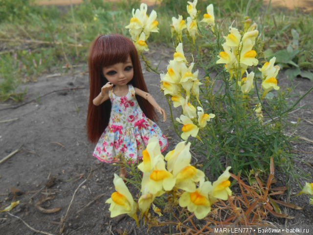 Фенечка и ее любимая подружка! Часть 2 - продолжение истории