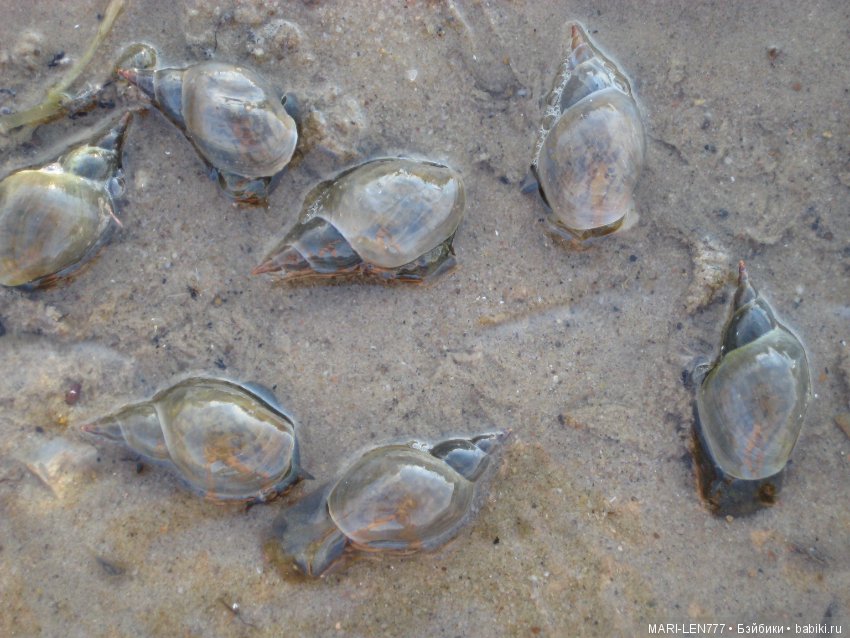 Фенечка и ее любимая подружка! Часть 2 - продолжение истории