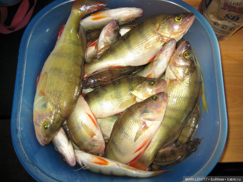 Фенечка и ее любимая подружка! Часть 3 - продолжение следует (фото 10)