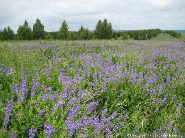 Фенечка и ее любимая подружка! Часть 3 - продолжение следует