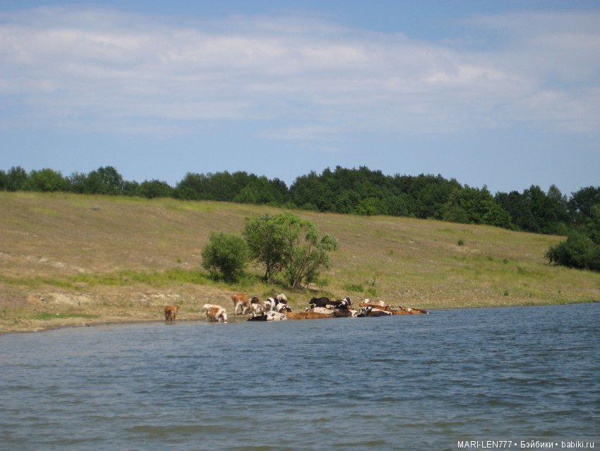 Фенечка и ее любимая подружка! Часть 3 - продолжение следует