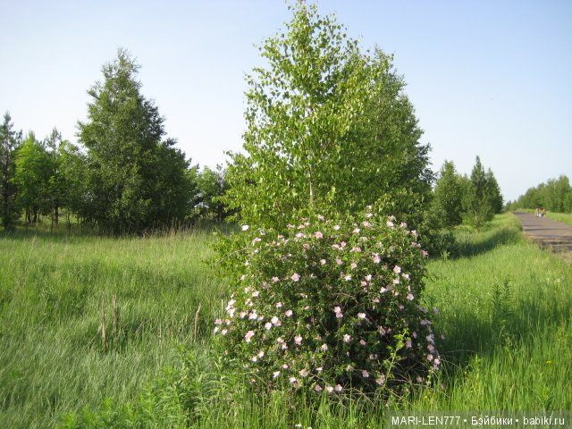 Фенечка и ее любимая подружка! Часть 3 - продолжение следует