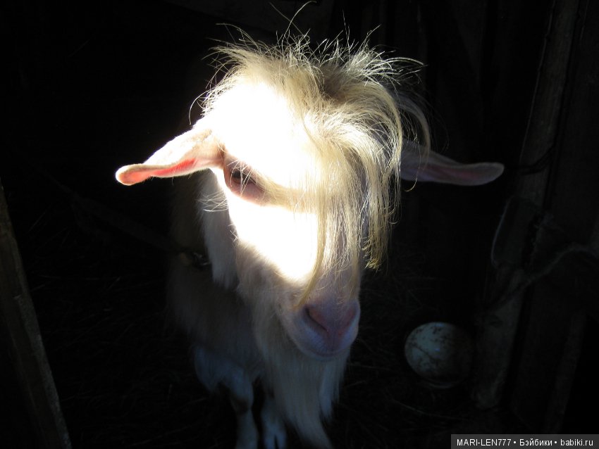 Фенечка и ее любимая подружка! Часть 3 - продолжение следует