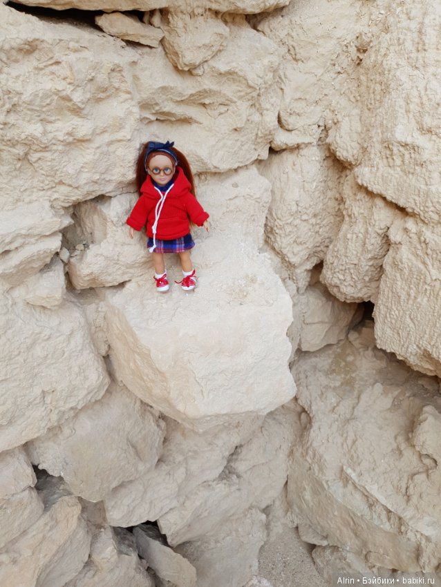 Малышка Саманта (Kendra OG) (фото 9)