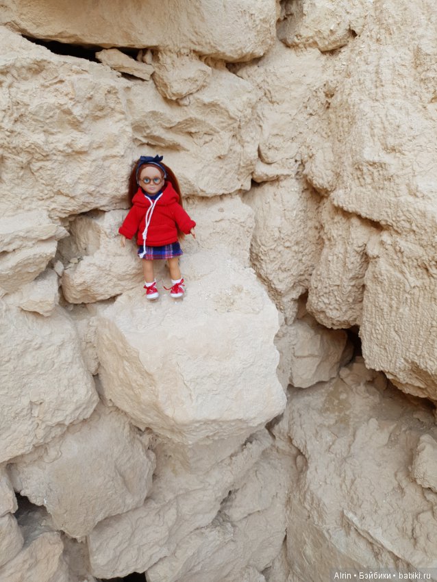 Малышка Саманта (Kendra OG) (фото 10)