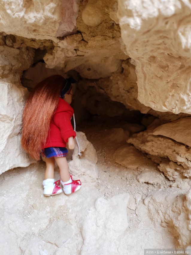 Малышка Саманта (Kendra OG) (фото 5)