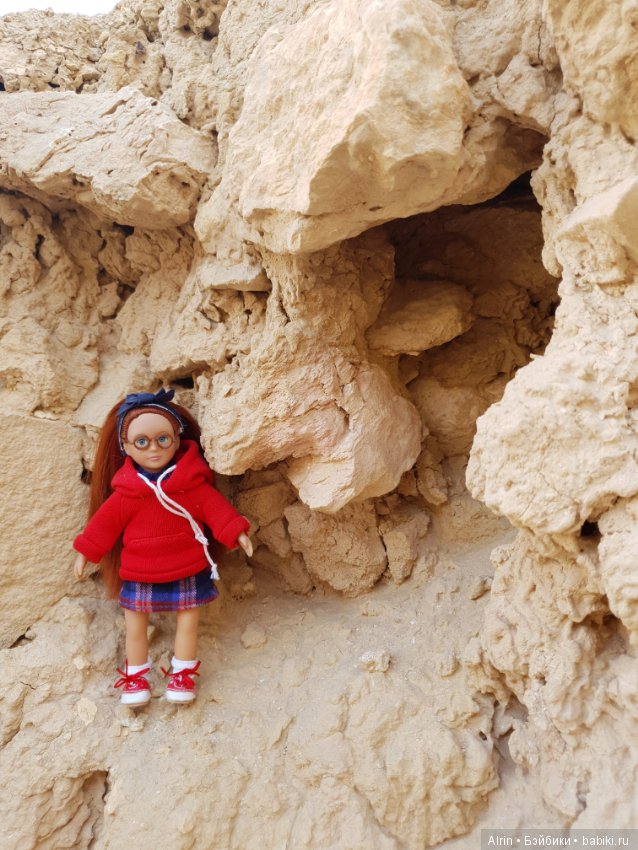 Малышка Саманта (Kendra OG) (фото 7)