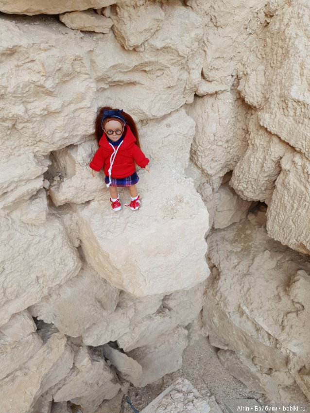 Малышка Саманта (Kendra OG) (фото 8)