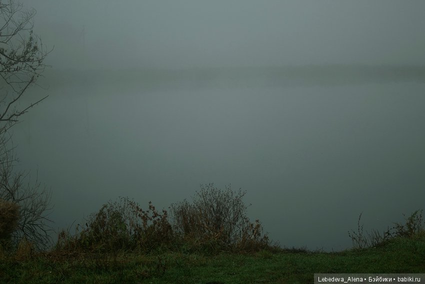 Туманным октябрьским утром (фото 5)
