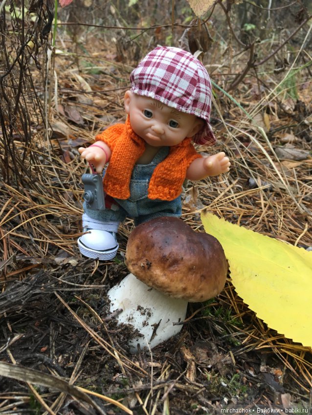 Данькина грибалка — Куклы D'Anton Jos (Д'Антон Джос): характерные