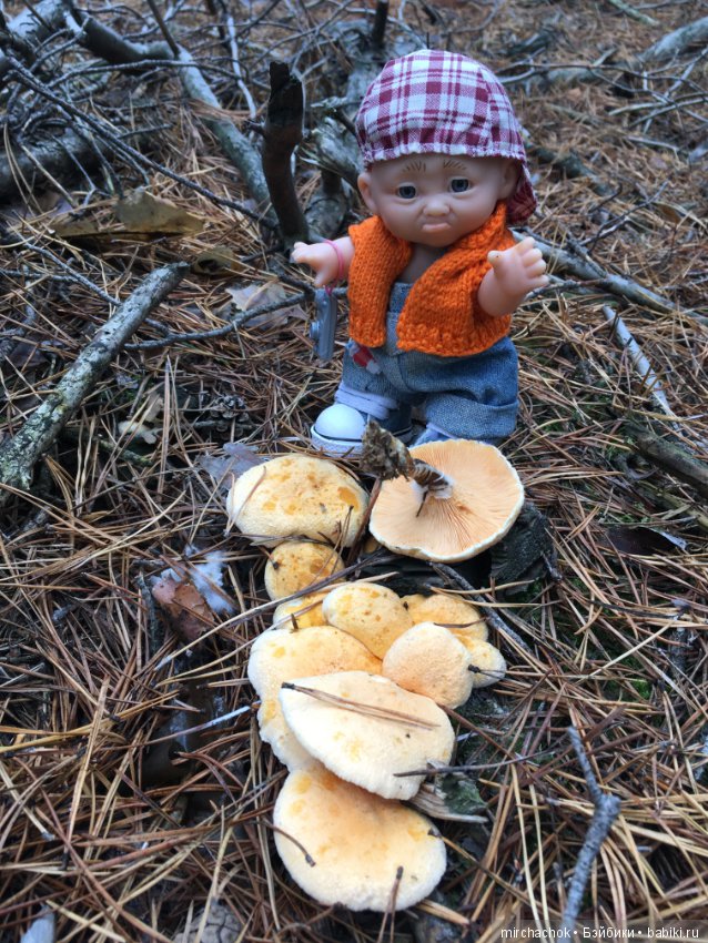 Данькина грибалка — Куклы D'Anton Jos (Д'Антон Джос): характерные