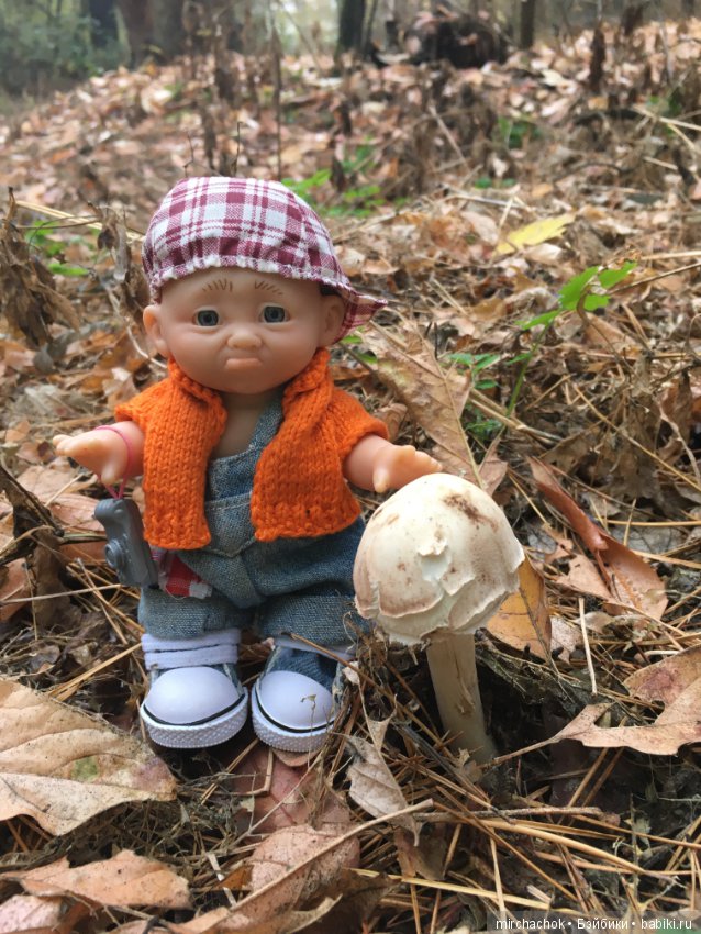 Данькина грибалка — Куклы D'Anton Jos (Д'Антон Джос): характерные