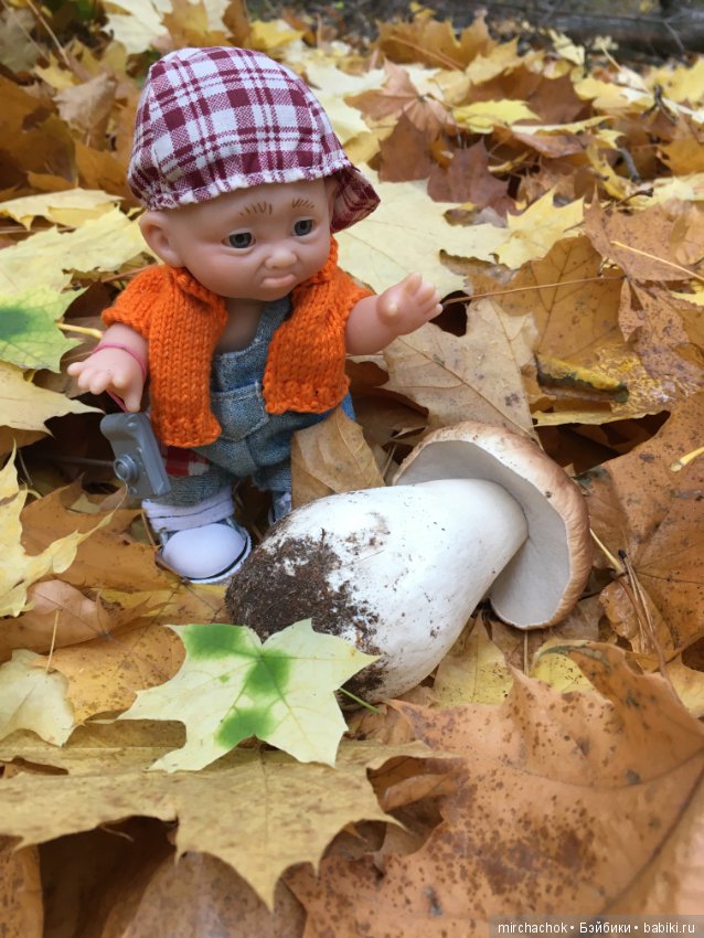 Данькина грибалка — Куклы D'Anton Jos (Д'Антон Джос): характерные (фото 6)