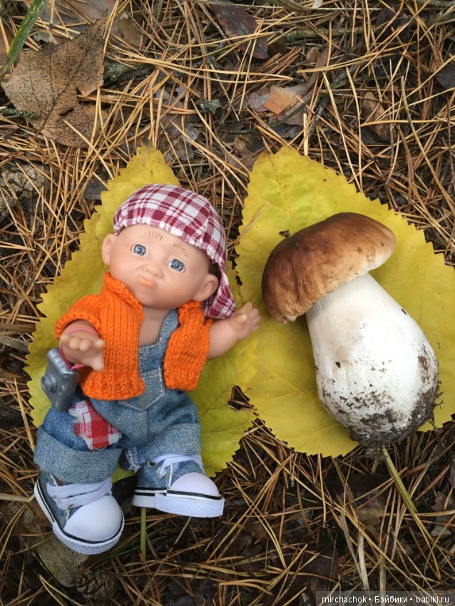 Данькина грибалка — Куклы D'Anton Jos (Д'Антон Джос): характерные (фото 3)