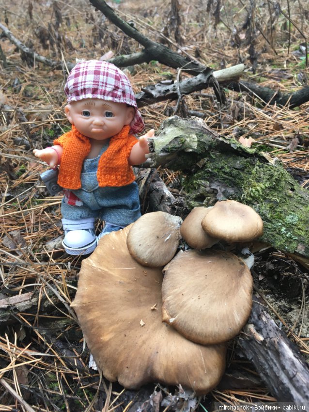 Данькина грибалка — Куклы D'Anton Jos (Д'Антон Джос): характерные