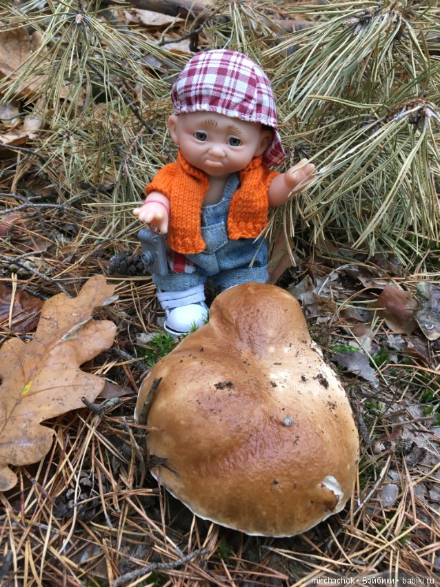 Данькина грибалка — Куклы D'Anton Jos (Д'Антон Джос): характерные (фото 8)