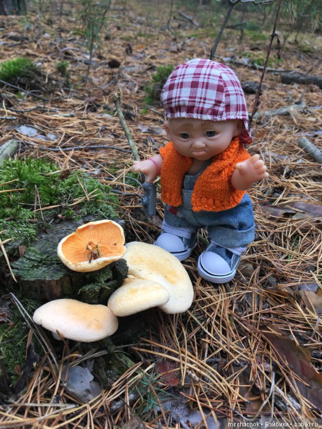Данькина грибалка — Куклы D'Anton Jos (Д'Антон Джос): характерные