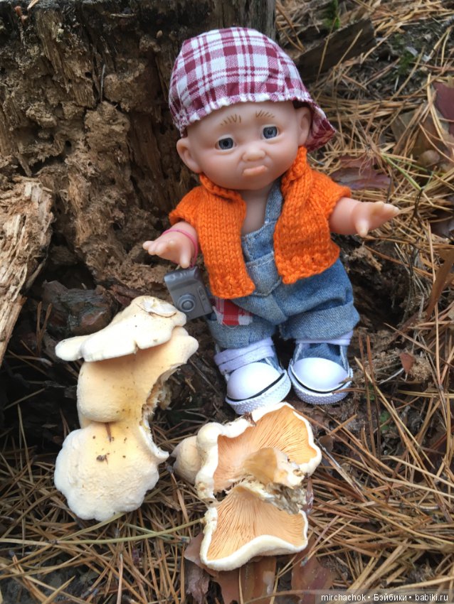 Данькина грибалка — Куклы D'Anton Jos (Д'Антон Джос): характерные