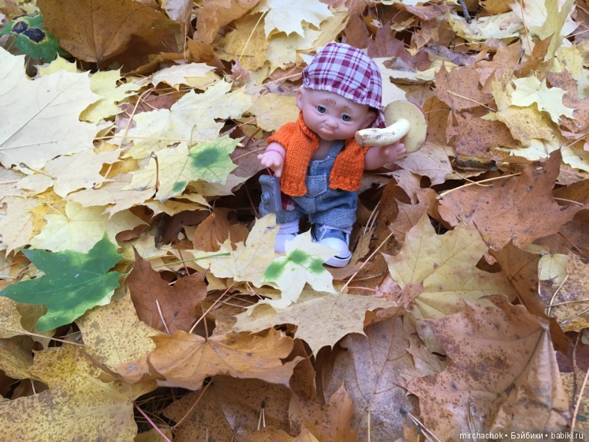Данькина грибалка — Куклы D'Anton Jos (Д'Антон Джос): характерные