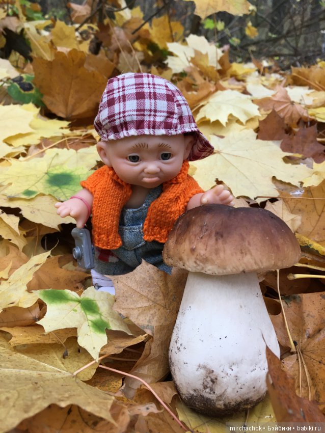 Данькина грибалка — Куклы D'Anton Jos (Д'Антон Джос): характерные (фото 5)