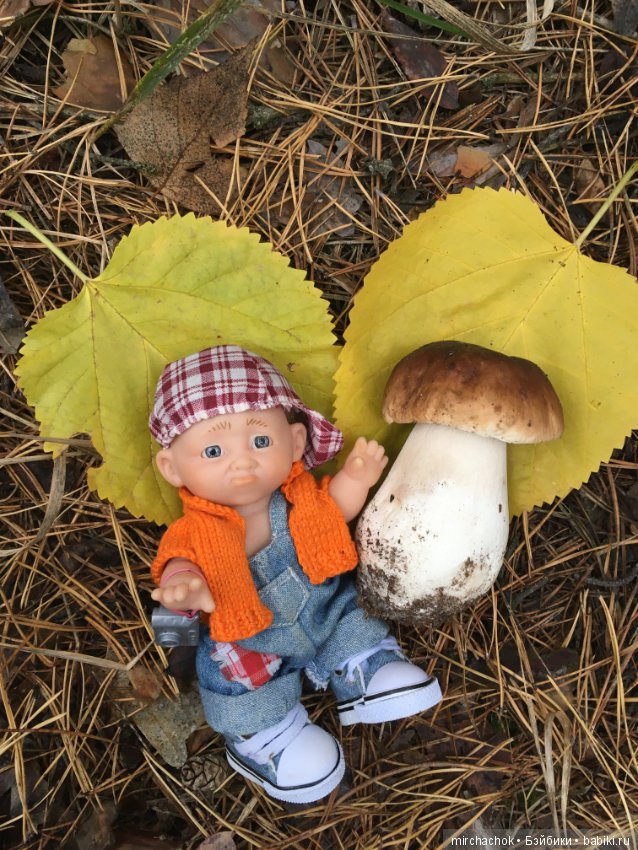 Данькина грибалка — Куклы D'Anton Jos (Д'Антон Джос): характерные (фото 4)