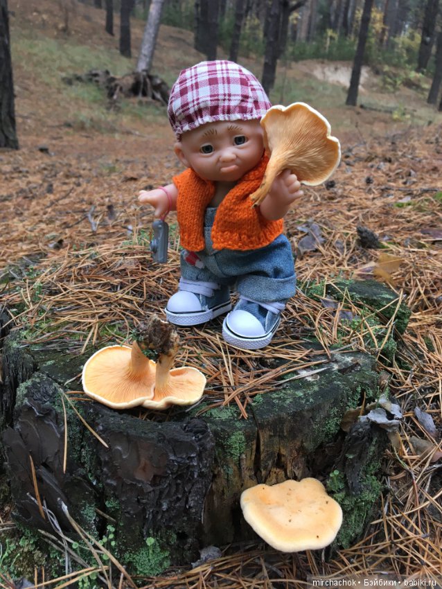 Данькина грибалка — Куклы D'Anton Jos (Д'Антон Джос): характерные