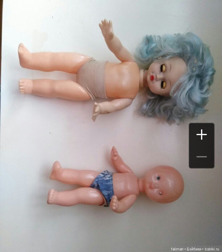 Красавицы готовы к выходу в свет (фото 5)