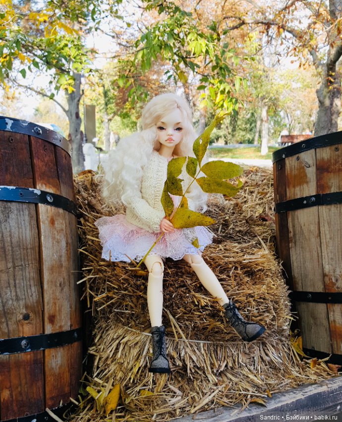 Гуляем, пока тепло — Куклы DIM (Doll in Mind): корейские BJD (БЖД) (фото 10)