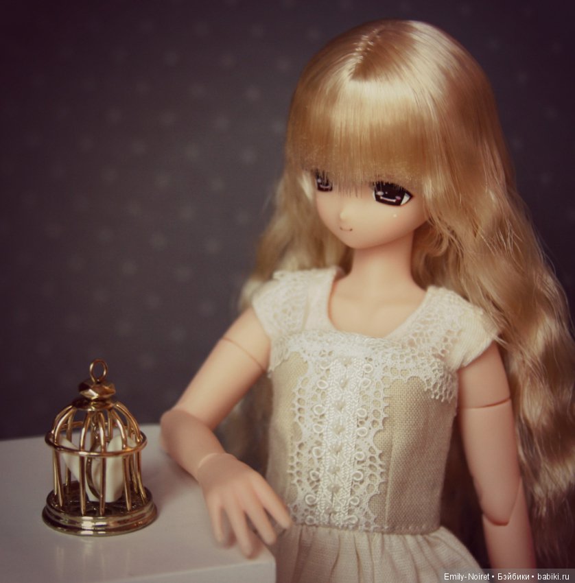 Rabbit Mia Komorebimori no Dobutsutachi Limited Ver