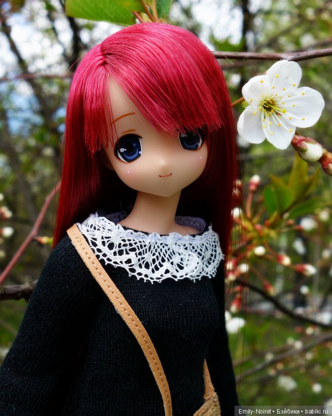 Alisa Nostalgic Story Collection Osaka Limited (фото 7)