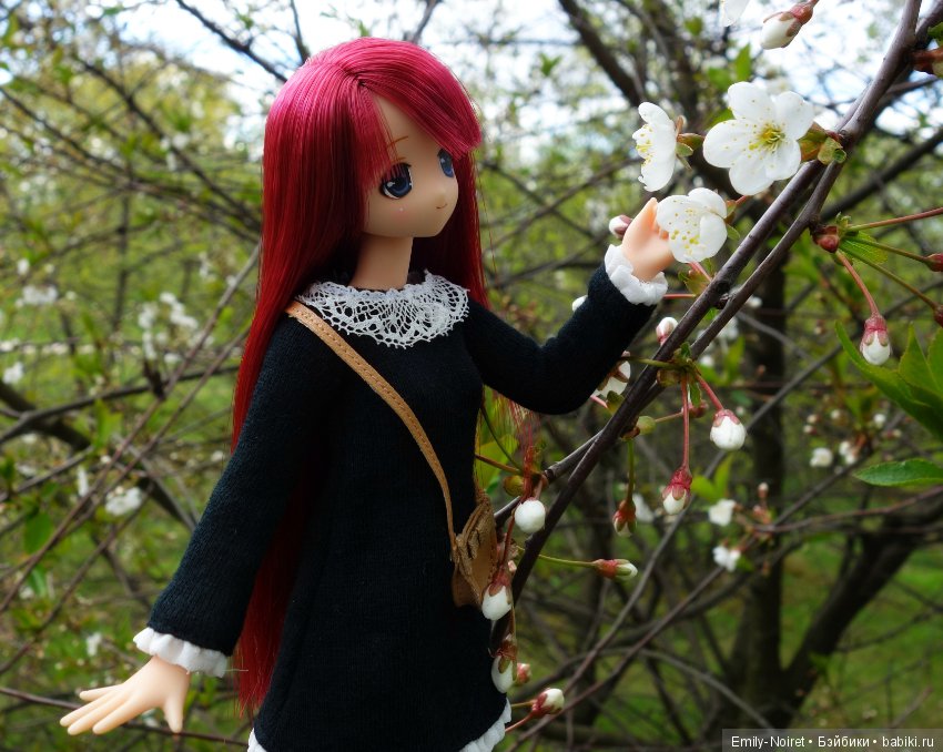 Alisa Nostalgic Story Collection Osaka Limited (фото 8)