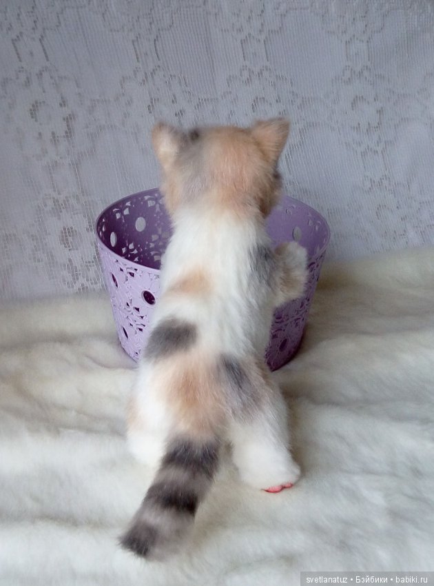 Котенок. Реалистичная плюшевая игрушка (фото 5)