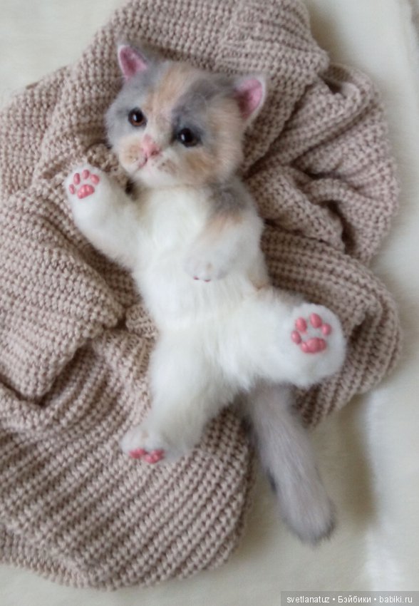 Котенок. Реалистичная плюшевая игрушка (фото 4)