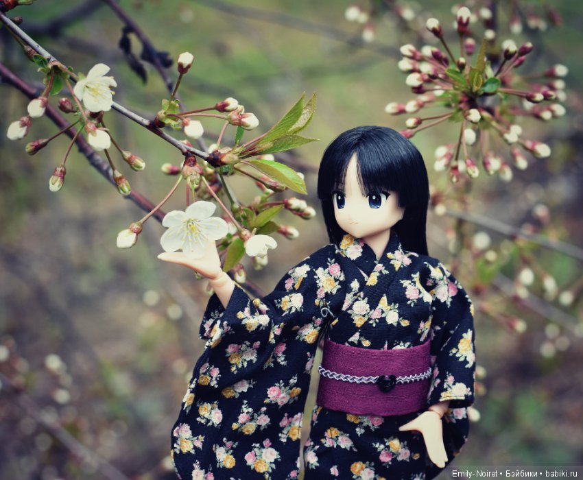 K-ON! Akiyama Mio — Аниме куклы (MJD/Винил): Imomo