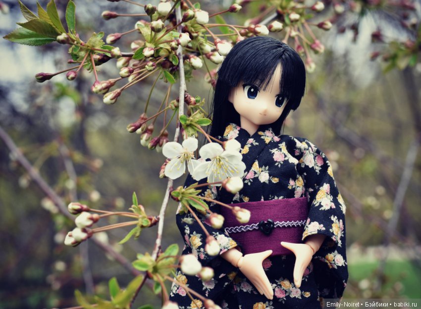 K-ON! Akiyama Mio — Аниме куклы (MJD/Винил): Imomo