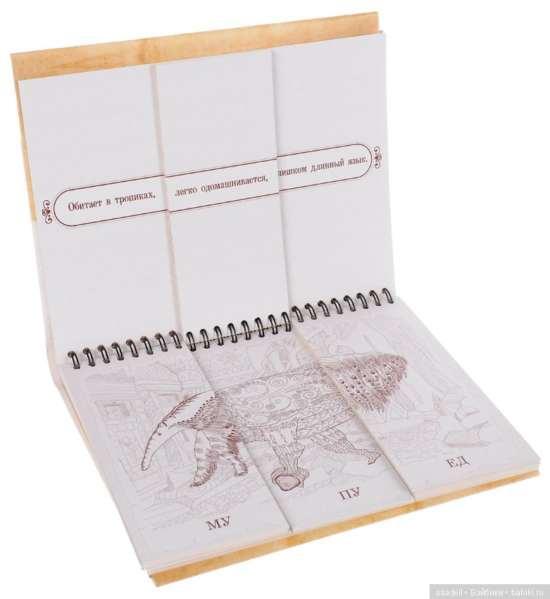 Богатство книжного мира — Интересное и необычное: фотоподборки (фото 6)