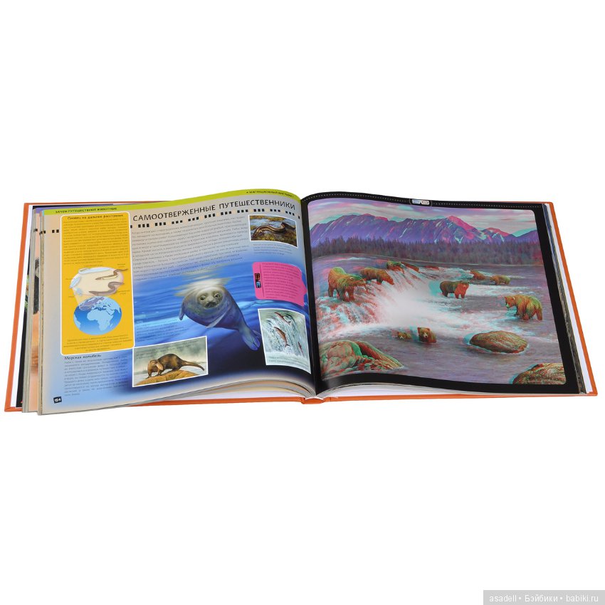 Богатство книжного мира — Интересное и необычное: фотоподборки (фото 9)